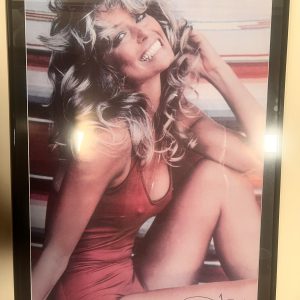 Original Vintage Farrah Fawcett Majors Red Swim Suit The Best Selling Poster Of All Time Signed