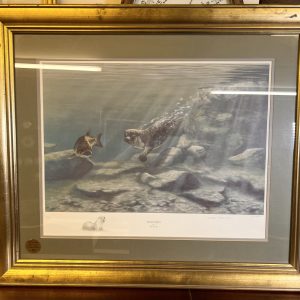 "Trivial Pursuit" - Otter And  Fish - Mounted By Nigel Hemming