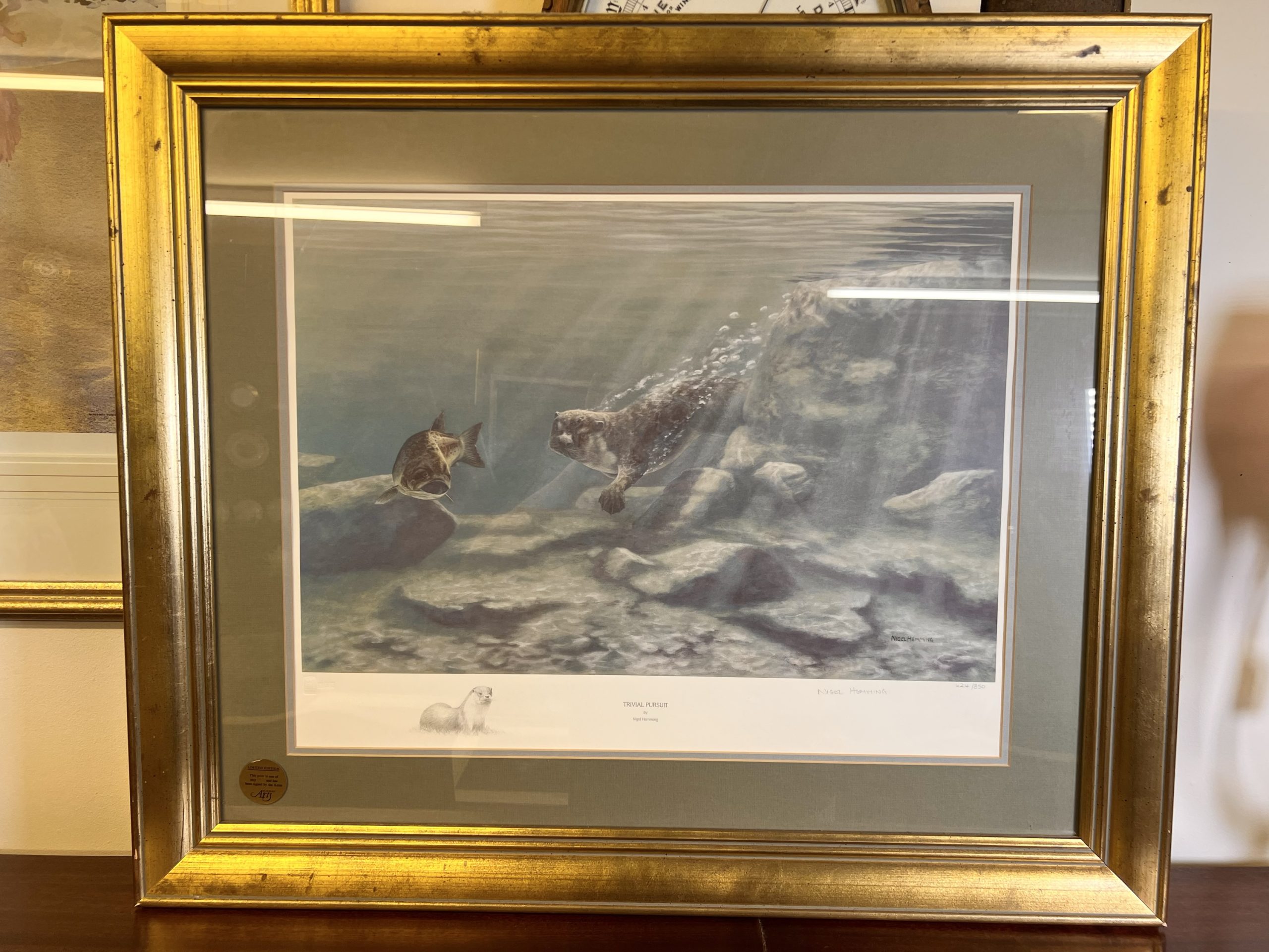 "Trivial Pursuit" - Otter And Fish - Mounted By Nigel Hemming