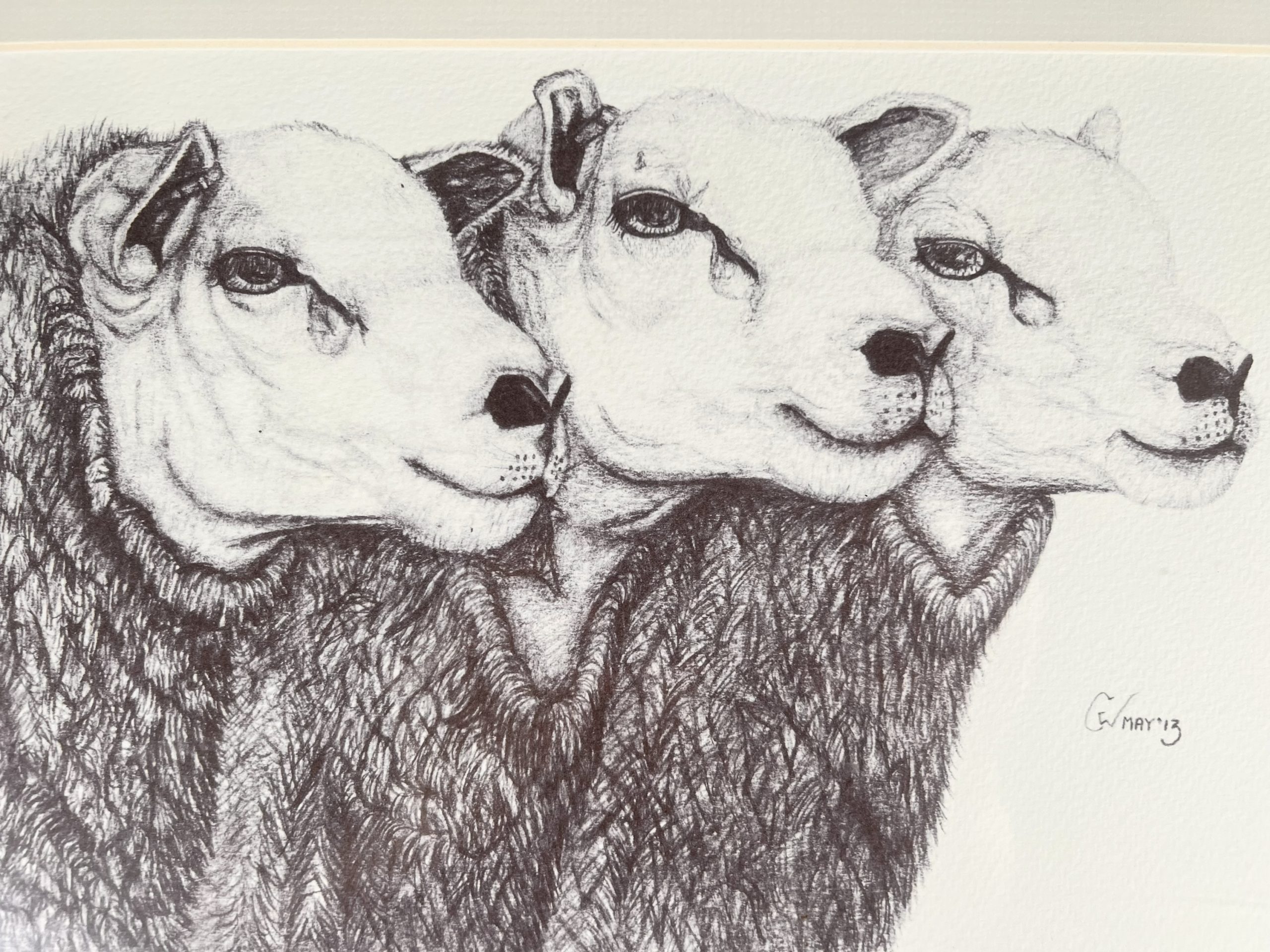 Embrace The Charm Of These Three Enchanting Sheep In Black And White - Image 4
