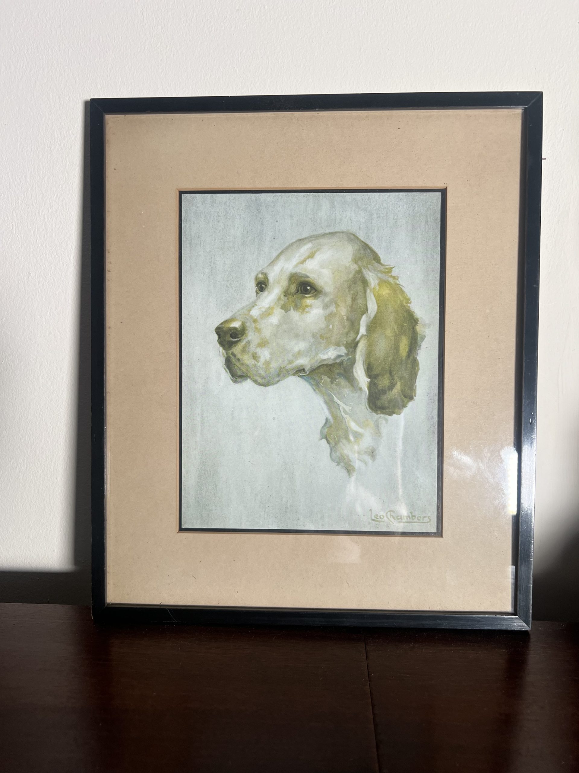 An English Setter By Leo Chambers