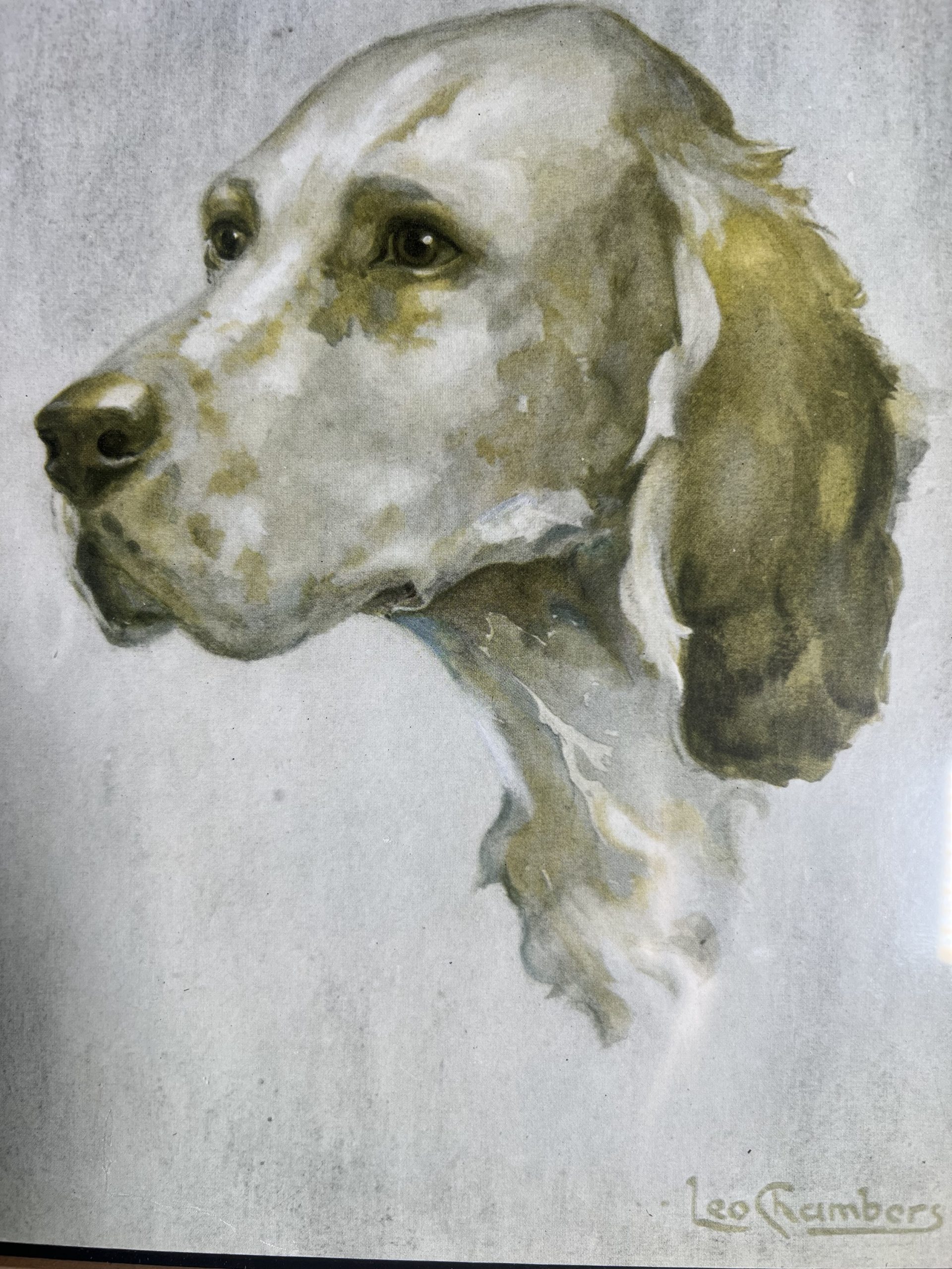 An English Setter By Leo Chambers - Image 2