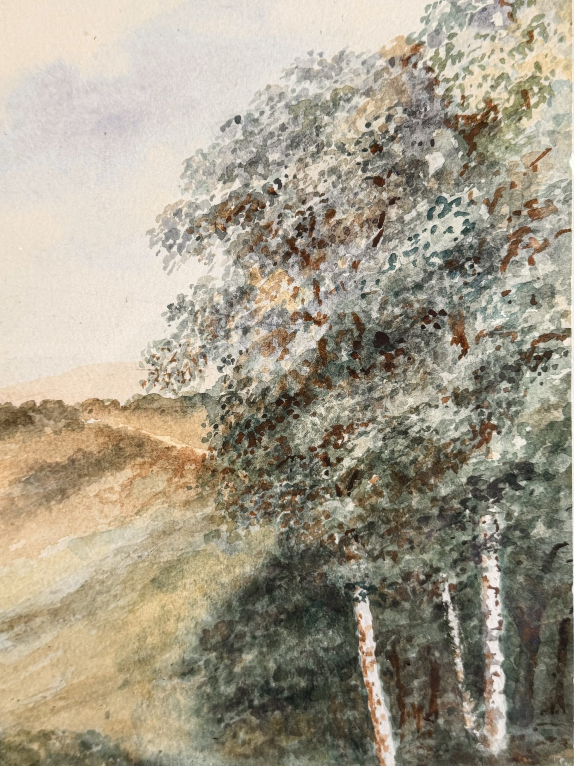 Original Signed Watercolour – Trees & Mountains Landscape Dated 1963 - Image 2