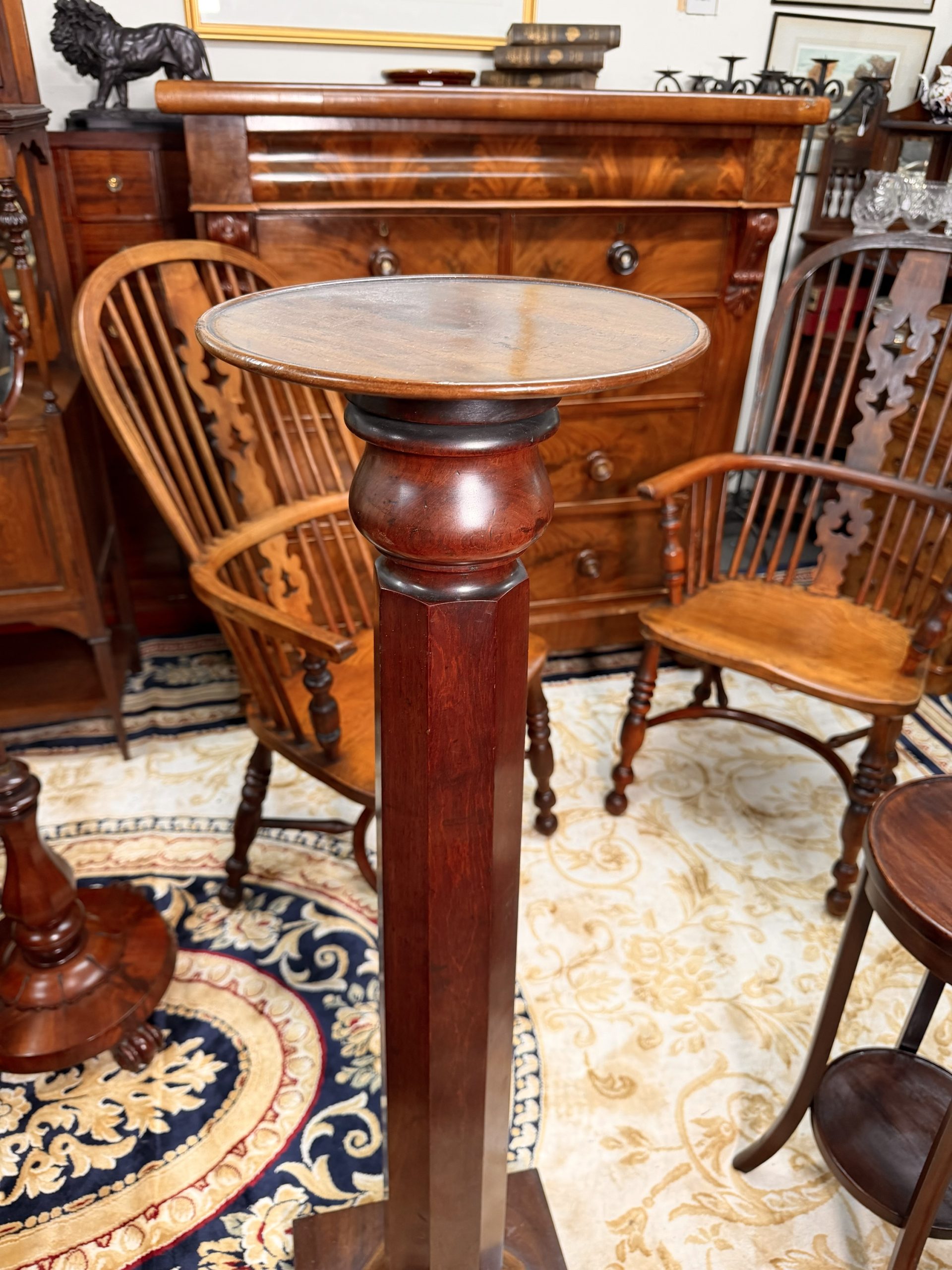 Tall Antique Display Pedestal, English Mahogany Torchiere / Plant Stand, Regency c.1820 - Image 3