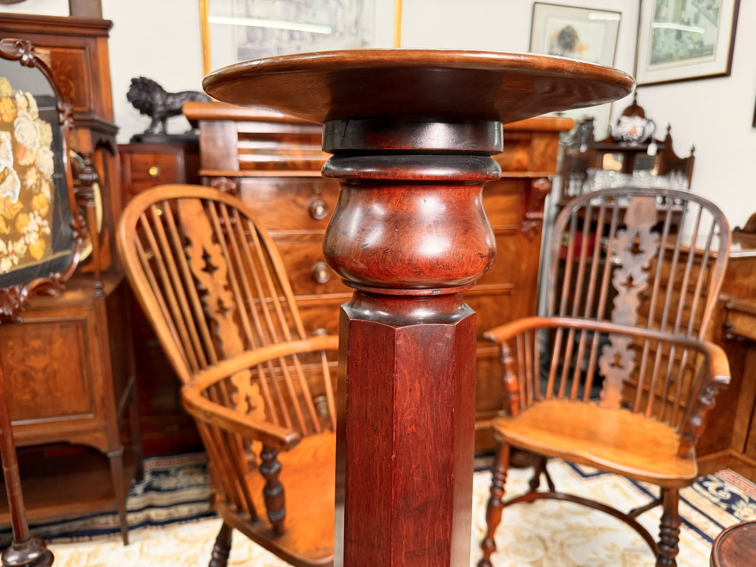 Tall Antique Display Pedestal, English Mahogany Torchiere / Plant Stand, Regency c.1820 - Image 2
